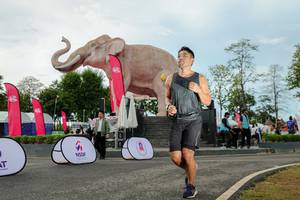 BIB: 
                            <button type="button" onclick="openModal(26529053)" class="btn btn-primary btn-sm float-right btn-popup" data-toggle="modal" data-target=".modal-high-quality">
                        <i class="fas fa-shopping-cart"></i> Add to Cart
                    </button>
                                            <button type="button" onclick="isThisMe(26529053, true)" class="btn btn-success btn-sm float-right btn-popup btn-isme hidden" data-toggle="tooltip" data-placement="bottom" title="นี่คือรูปของคุณใช่ไหม คลิกที่นี่เพื่อเอาเข้าอัลบั้ม">
                        <i class="fas fa-plus"></i> Add to album
                    </button>
                    <button type="button" onclick="isThisMe(26529053, false)" class="btn btn-warning btn-sm float-right btn-popup btn-isnotme hidden">
                        <i class="fas fa-ban"></i> Remove from album
                    </button>